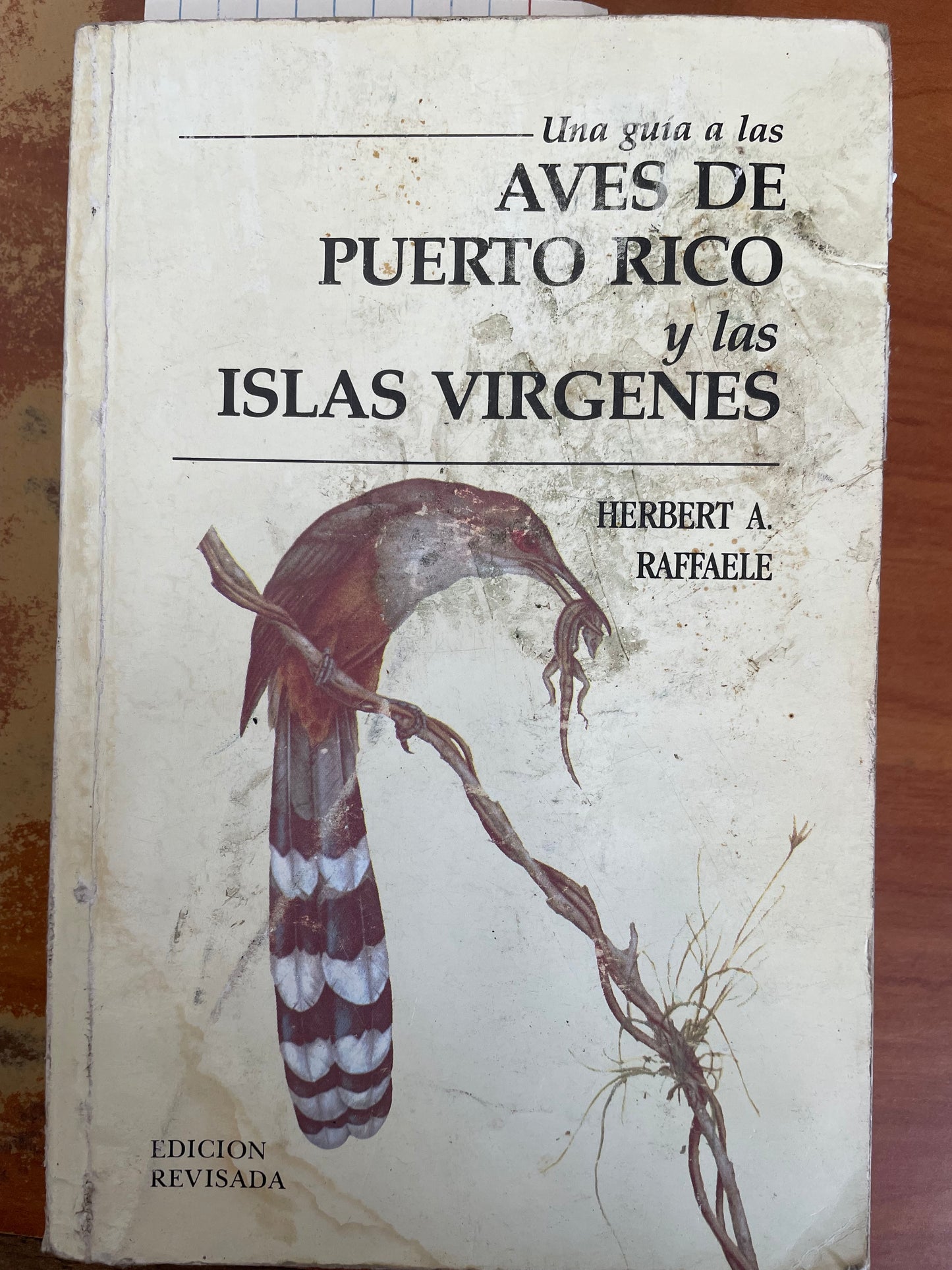 Una Guía a las Aves de Puerto Rico y las Islas Vírgenes- Herbert A. Raffaele