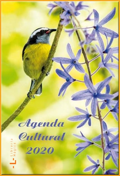 Agenda Cultural 2020: Los Bienes Culturales Y Ambientales de
